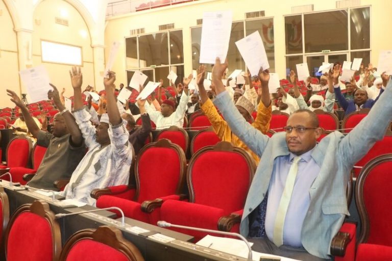depute_nigeriens_an_vote_de_4_projets_0