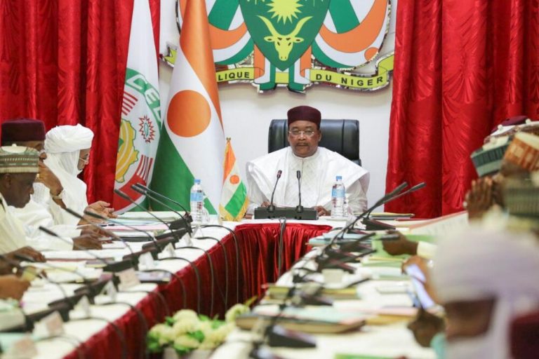 Niger Conseil