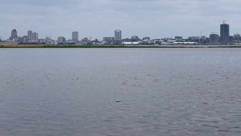 RDC