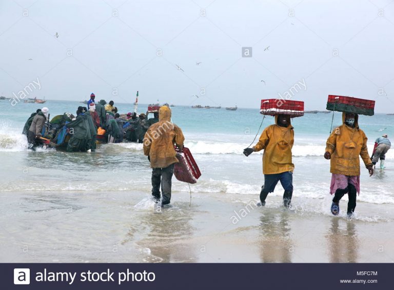 industrie-de-la-peche-de-la-mauritanie-m5fc7m
