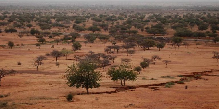 Sahel, Africa. 2009.