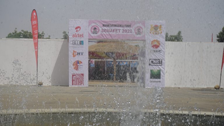 DSC05202