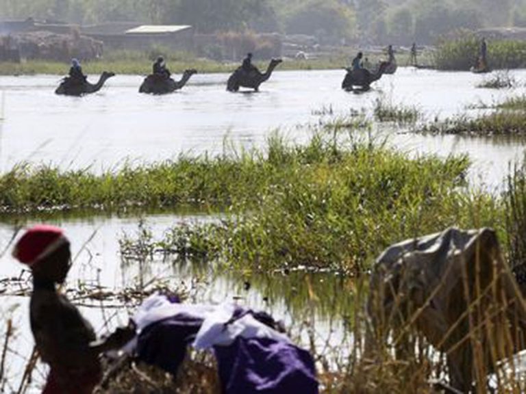 Chameaux-traversant-lac-Tchad-Nganboua-19-janvier-2015_0
