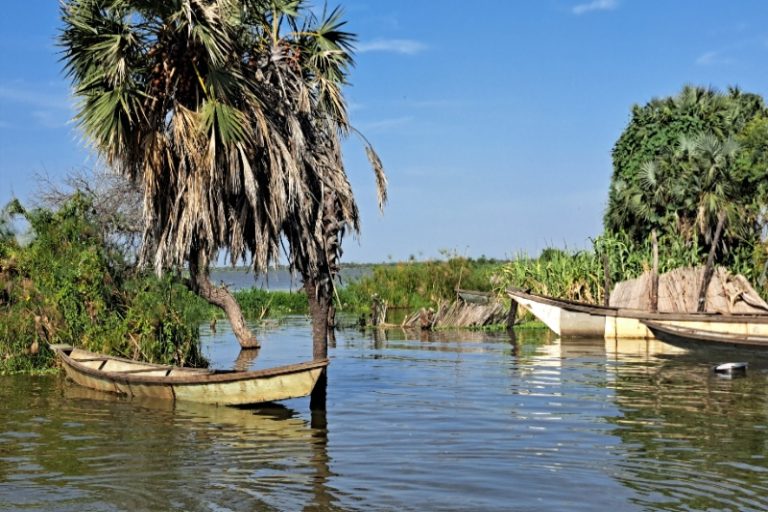 Lac Tchad