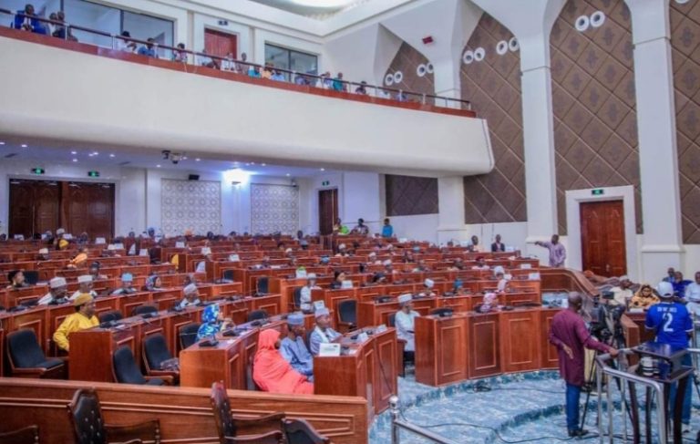 Tchad assemblée