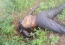 Moundou: Un clandoman a été tué par des inconnus a Samo