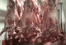 Économie : La viande made in Tchad à la conquête du marché international