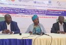 Tchad : La FAO renforce les capacités de l’équipe de l’OPEG en mobilisation des ressources et communication