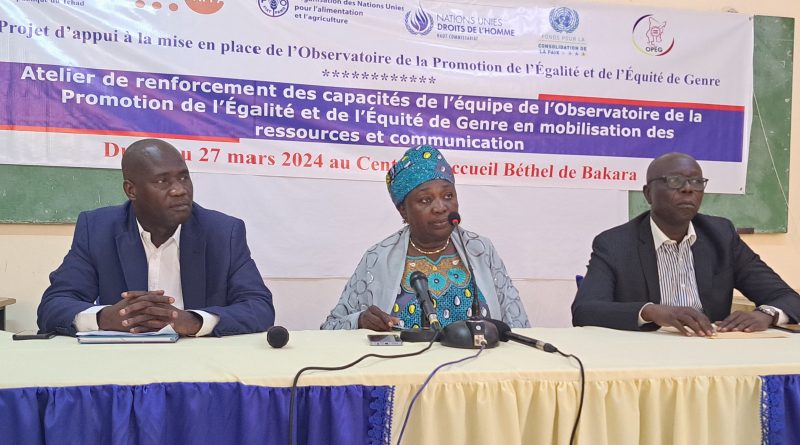 Tchad : La FAO renforce les capacités de l’équipe de l’OPEG en mobilisation des ressources et communication