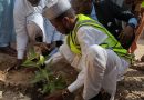 N’Djaména : Lancement d’une opération de plantation d’arbres dans les écoles du 1er arrondissement