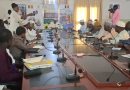 N’Djamena : Le CECOQDA lance une opération de collecte et de contrôle des denrées alimentaires
