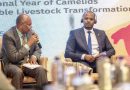 Production Animale : Le Tchad participe à la Conférence régionale sur l’Année internationale des camélidés à Nairobi