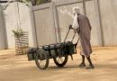 Société : À N’Djamena, les « Sidal al-mé », maillons indispensables d’accès à l’eau dans plusieurs quartiers