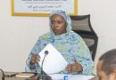 Transports : La Ministre Fatima Goukouni Weddéye Appelle à Redoubler d’Efforts