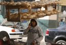 Égypte : Le prix du pain non subventionné plafonné à 2 livres égyptiennes