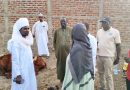 N’Djamena : Une mission conjointe veille au respect des normes sanitaires dans les sites d’abattage