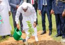 Semaine nationale de l&rsquo;Arbre : Le Président de la République lance l&rsquo;édition 2026