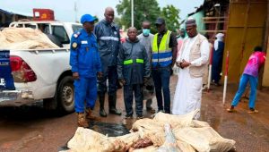 N’Djamena : Des viandes impropres à la consommation saisies au marché central